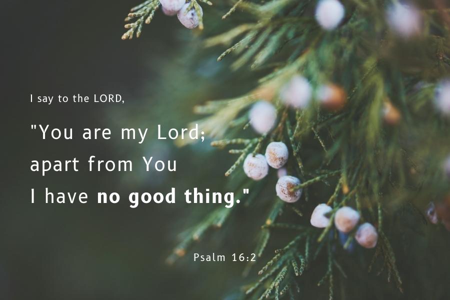 Psalm 16:2