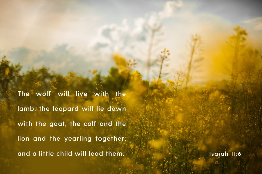 Isaiah 11:6