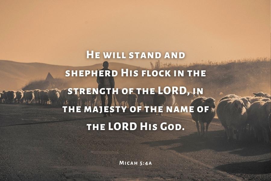 Micah 5:4a